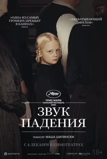 Звук падения (2025) онлайн бесплатно